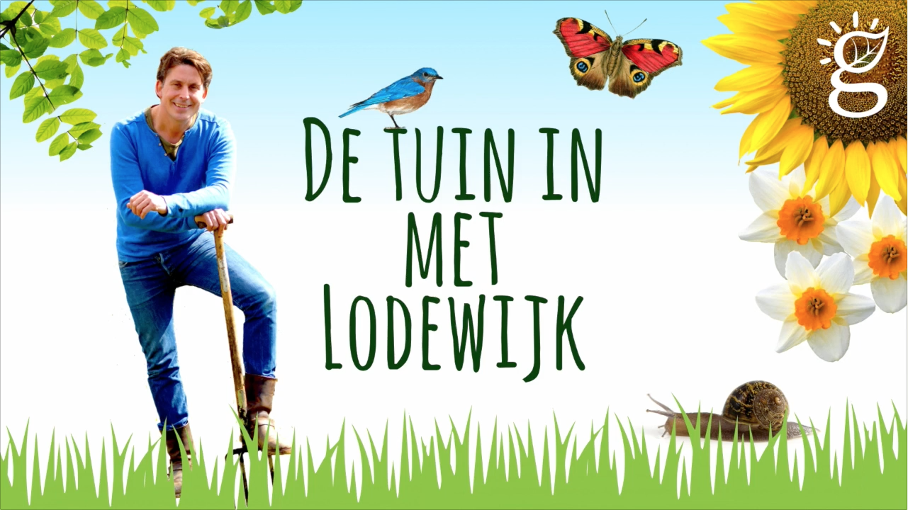 De Tuin in met Lodewijk