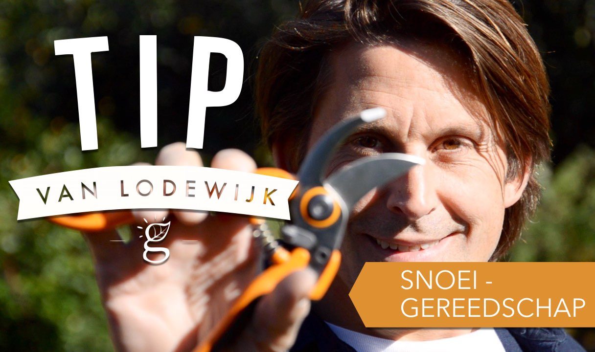 Tip van Lodewijk: Snoeigereedschap